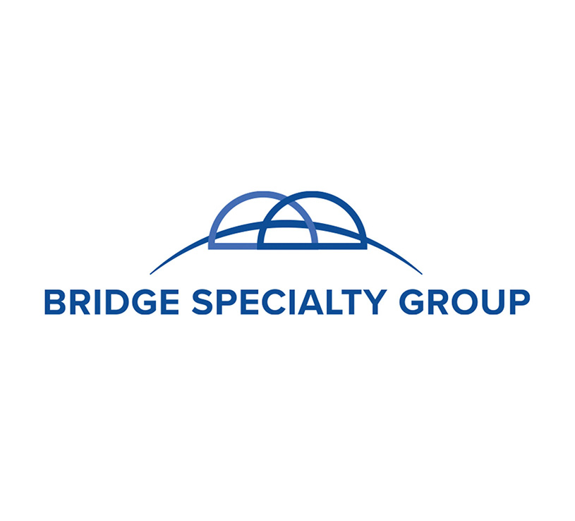 Bridge Specialty Group